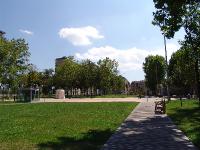 DSC02339 