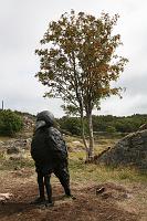 IMG_0545