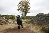IMG_0546