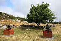 IMG_0548