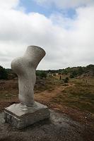 IMG_0569