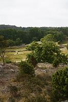 IMG_0584
