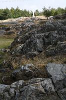 IMG_0620