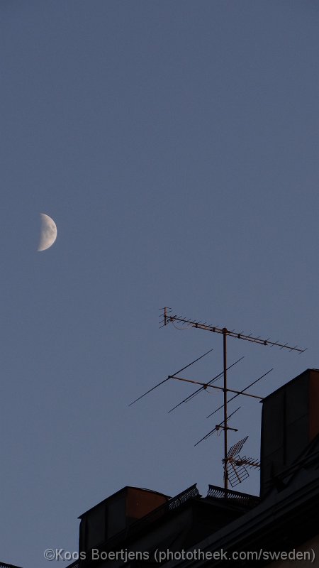 DSC03281